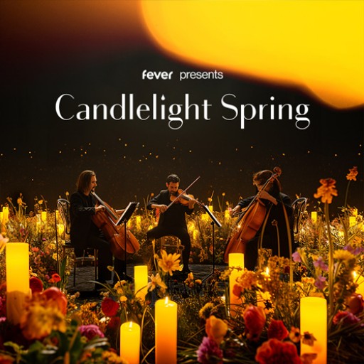 Candlelight: A Tribute to Beyonce Richmond Tickets