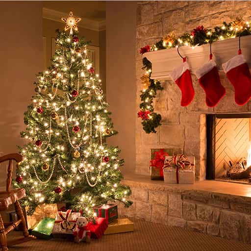 Christmas Show - Joy to The World Richmond Tickets