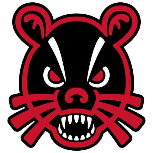 Cincinnati Bearcats Women's Basketball Tickets