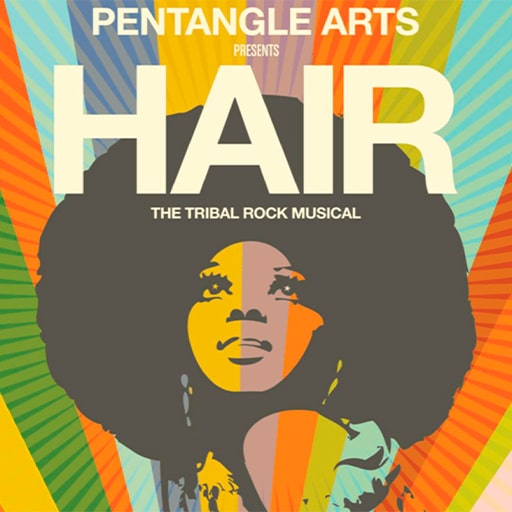 Hair Tickets