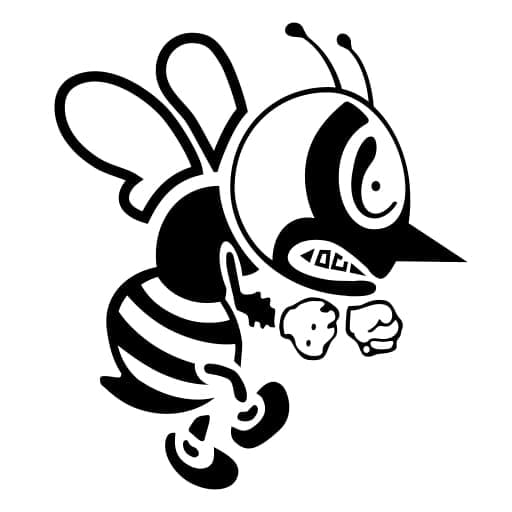 St. Ambrose Fighting Bees Basketball Tickets