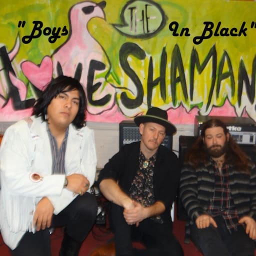 The Love Shamans Richmond Concert Tickets