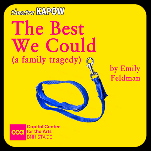 Theatre KAPOW: The Best We Could Tickets